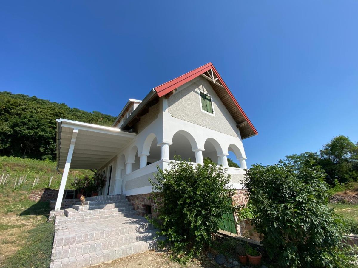 Chateau Segesdi Borapartman Gyulakeszi Exterior photo